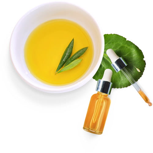 Global culinary culture